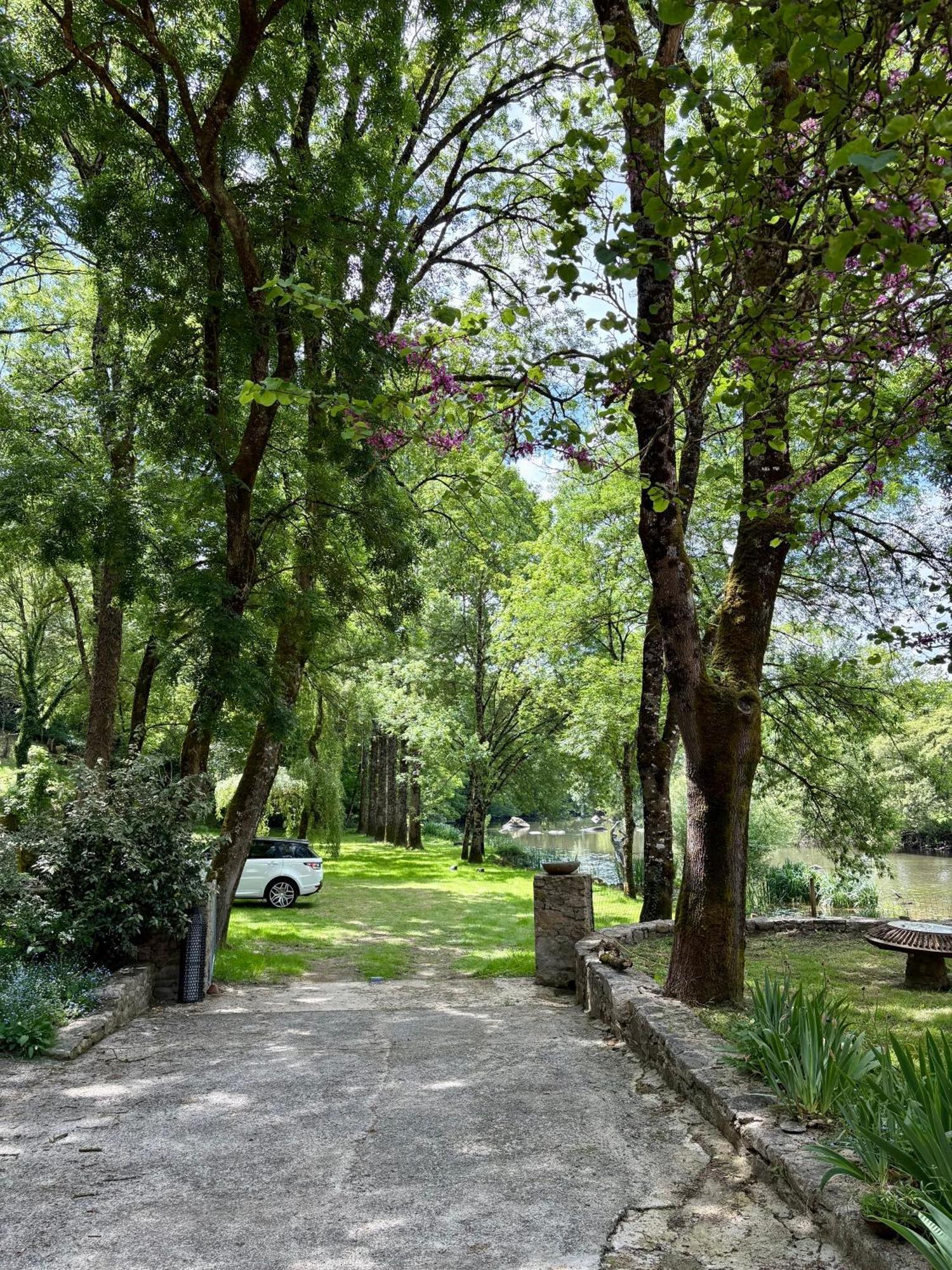 Le Moulin Du Guy, Proche Du Puy Dufou Bed & Breakfast Chanverrie ภายนอก รูปภาพ